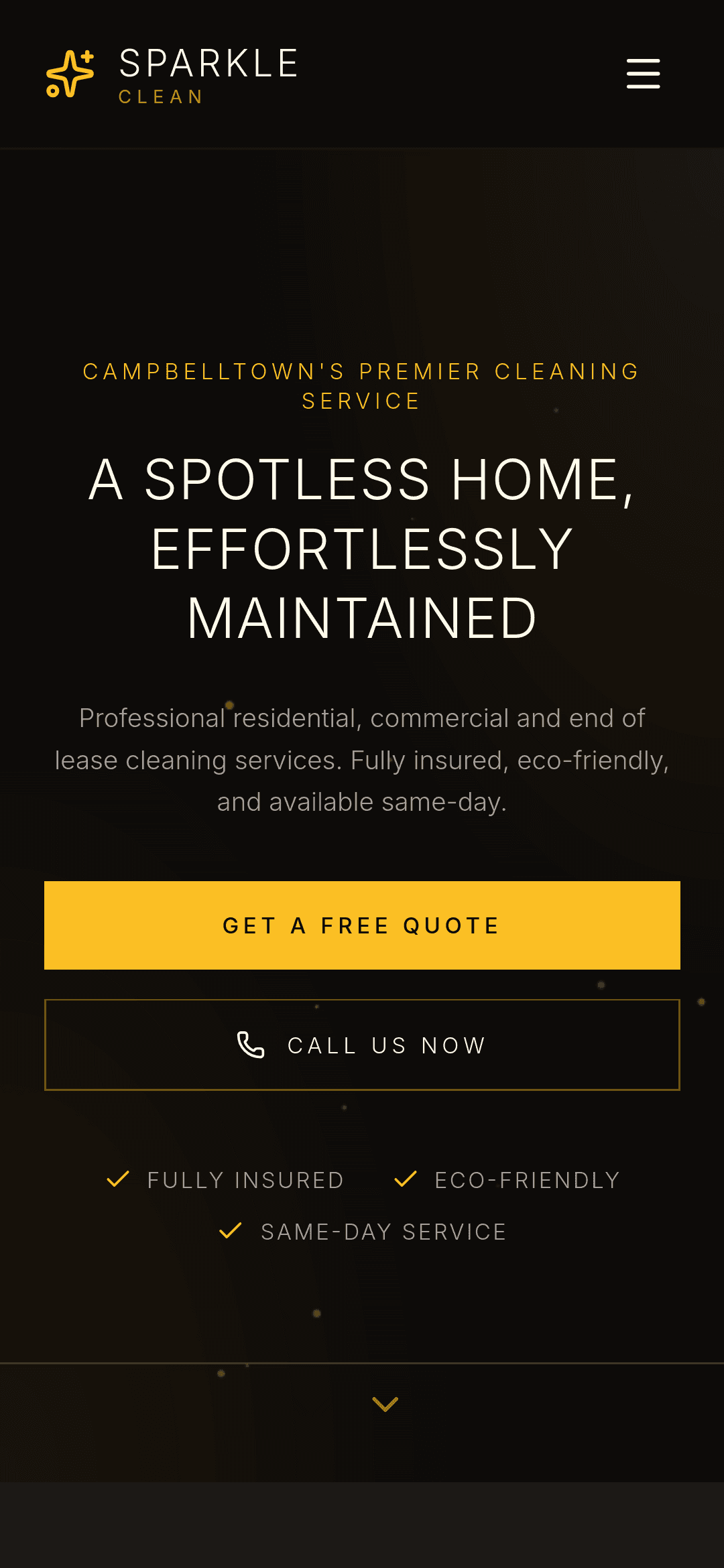 Sparkle Clean mobile view